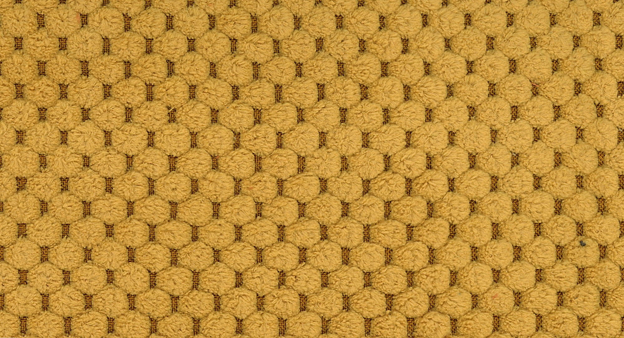 Miracle C281 Mustard 1S